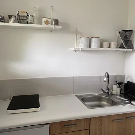 Przy Krupowkach Szarotka アパート ザコパネ